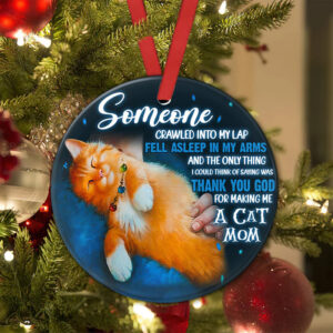 Cat Mom Someone Crawled Into My Lap Fell Asleep In My Arms Ceramic Ornament 1