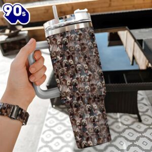 Braque Du Bourbonnais Tumbler 40OZ&hellip;