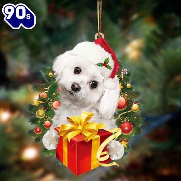 Maltese-Dogs Give Gifts Hanging Ornament, Gift For Christmas