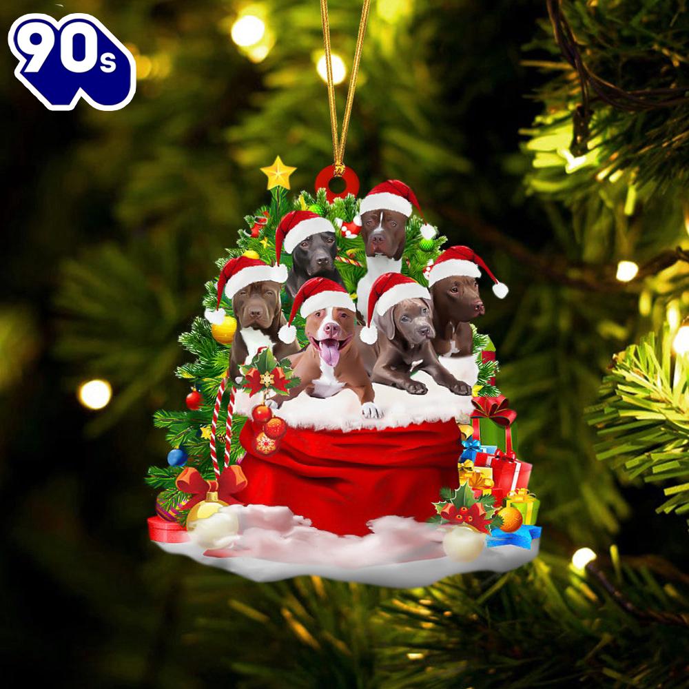 Pit Bull Dogs In A Gift Bag Christmas Ornament, Gift For Christmas Pit Bull Dogs In A Gift Bag Christmas Ornament, Gift For Christmas