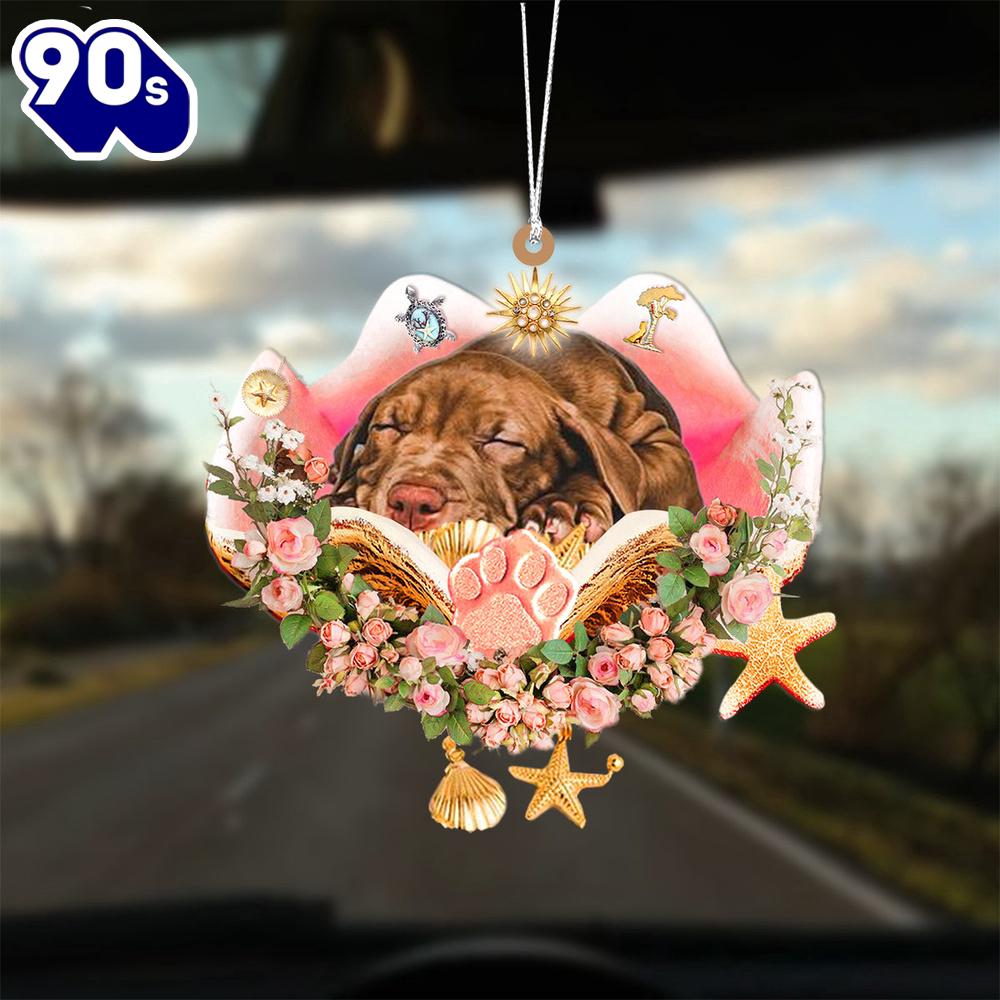 Pitbull Sleeping In The Seashell Ornament, Gift For Christmas Pitbull Sleeping In The Seashell Ornament, Gift For Christmas