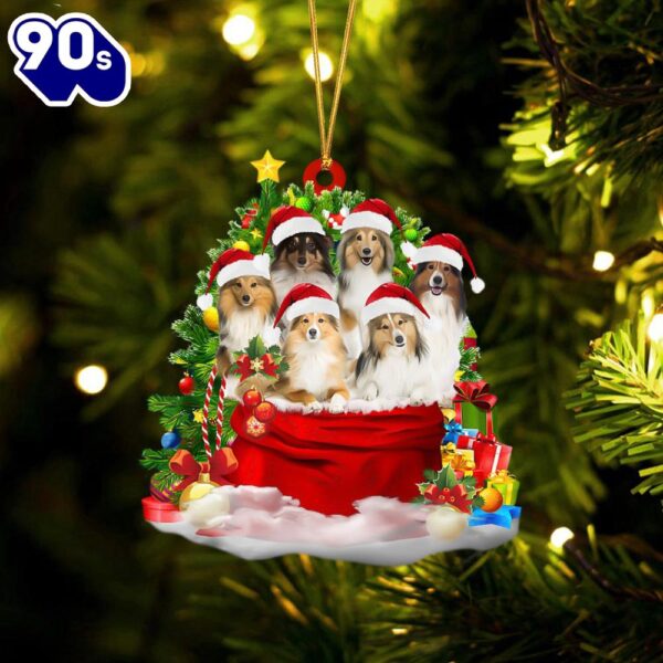 Shetland Sheepdog Dogs In A Gift Bag Christmas Ornament, Gift For Christmas