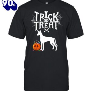 Trick Or Treat Ibizan Hound…